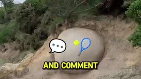 Farmer Stunned To Find Weird Ball In His Field
