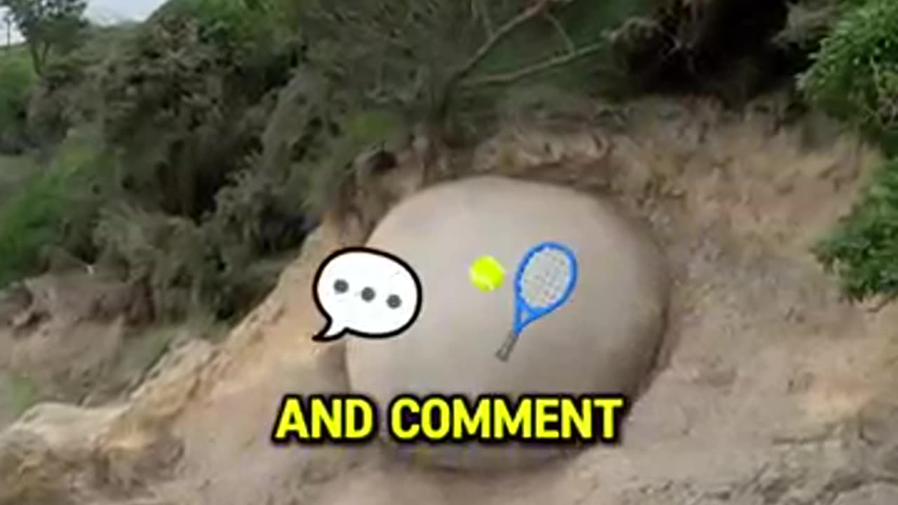 Farmer Stunned To Find Weird Ball In His Field