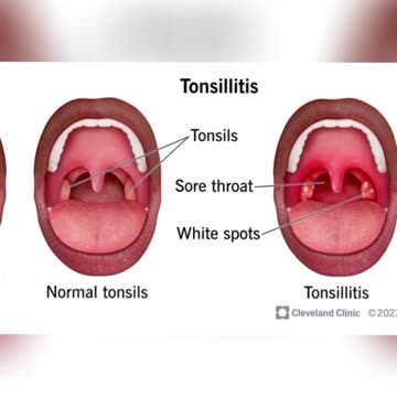 THE 4 HORSE MEN GEMINI