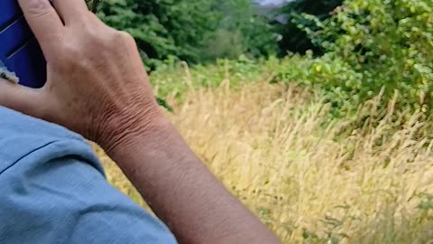 Man murdered by me an insane woman under council obseervation