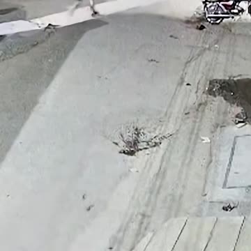 lion attacks mother and two children in Pakistani zoo! Underfed?