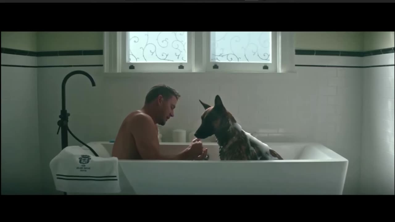 bathing with a bitch