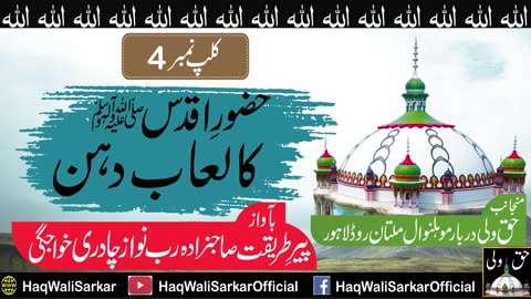 Hazoor ka Laabaa e Daan | Chadari Sarkar | #Shanemustafa #shifa #mojaza