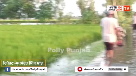 ਫਿਰੋਜ਼ਪੁਰ ’ਚ ਹੜ੍ਹ ਦਾ ਕਹਿਰ: 1988 ਵਰਗੇ ਹਾਲਾਤ, ਫਸਲਾਂ ਸੜੀਆਂ, ਲੋਕ ਬੇਘਰ, ਸਰਕਾਰੀ ਮਦਦ ਦੀ ਉਡੀਕ