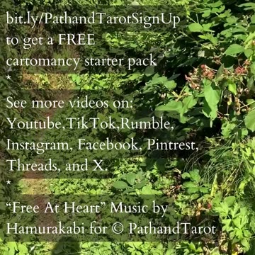 Energy For Solutions | Path and Tarot Reading