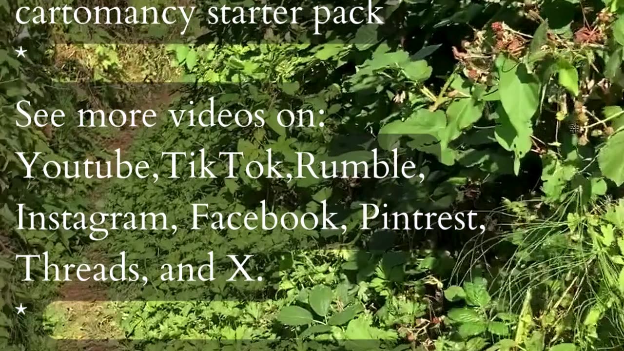 Energy For Solutions | Path and Tarot Reading