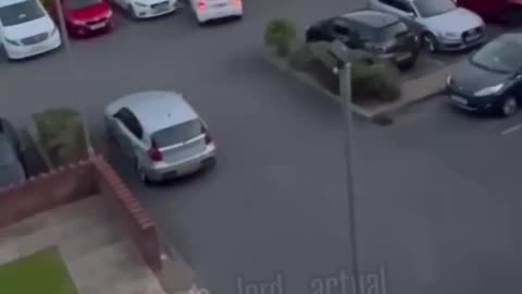 Tokyo Drift Girl