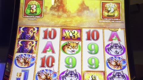 BIG Bonus on Buffalo Gold Bucks slot 💥😁🎰
