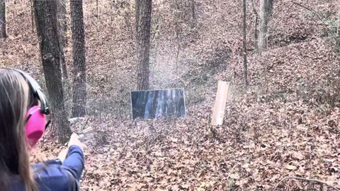 Ruger Security Six 357 Magnum