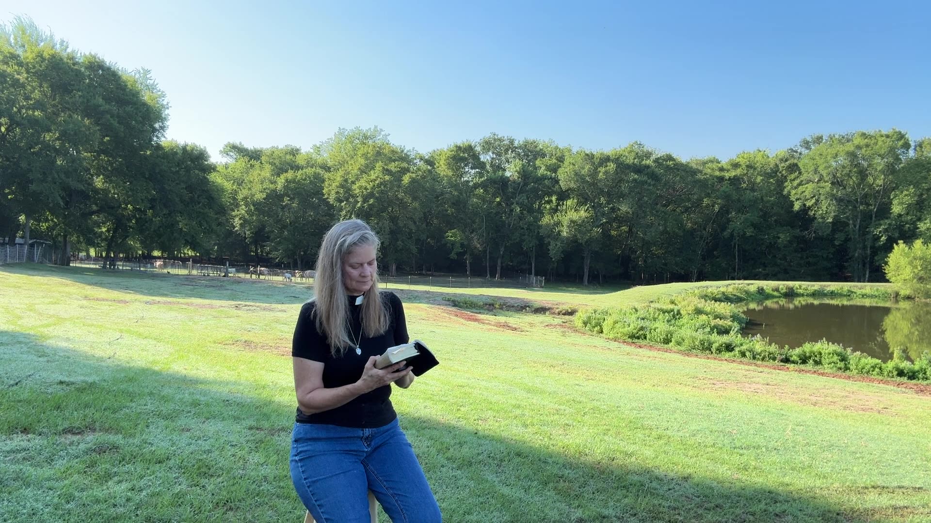 Morning Prayer, Daily office