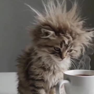 Weekend vibes.. 😂