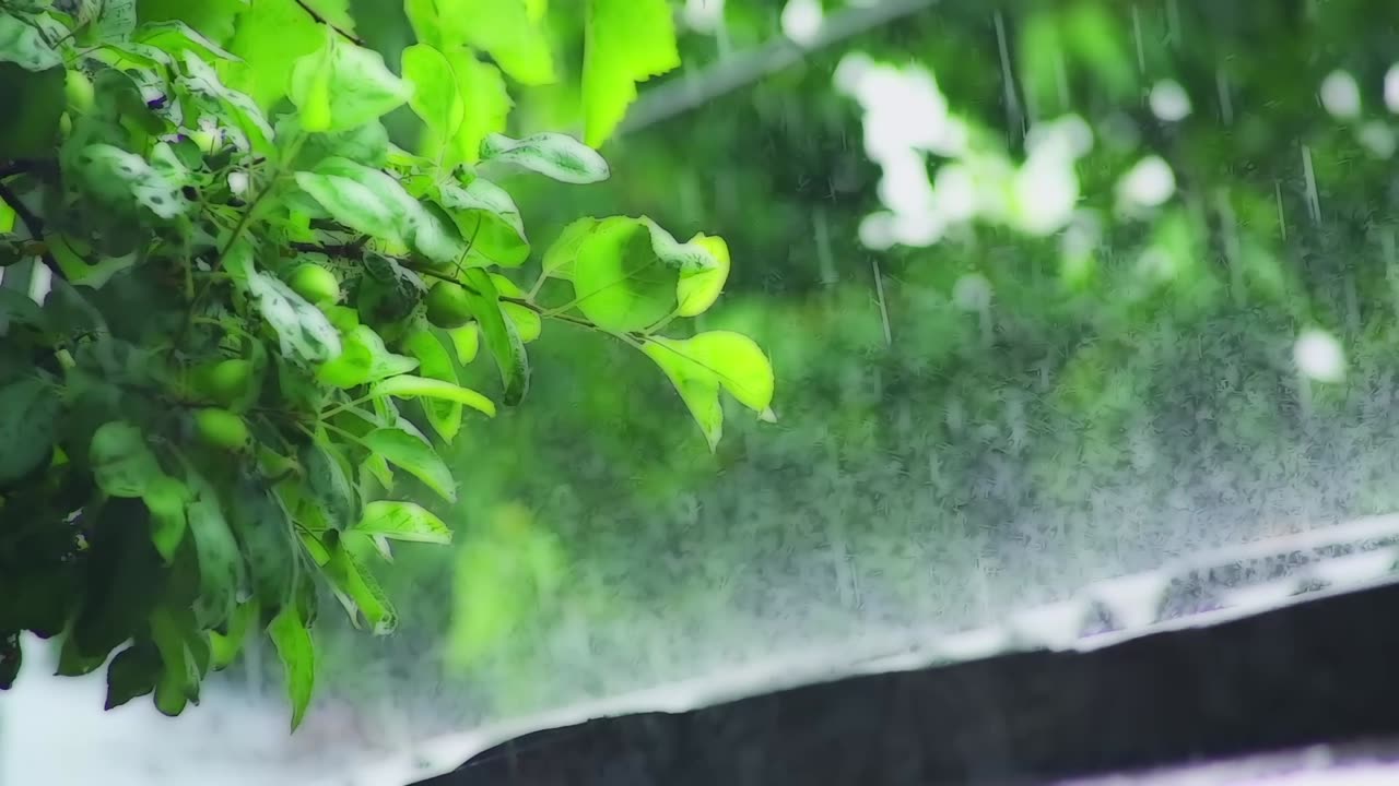 ASMR • DIFFICULTIES TO STUDY & CONCENTRATE? • THIS PIANO & RAIN WILL HELP YOU REFRESH YOUR ENERGY