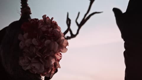 THY CATAFALQUE - A csend hegyei (Official Music Video)