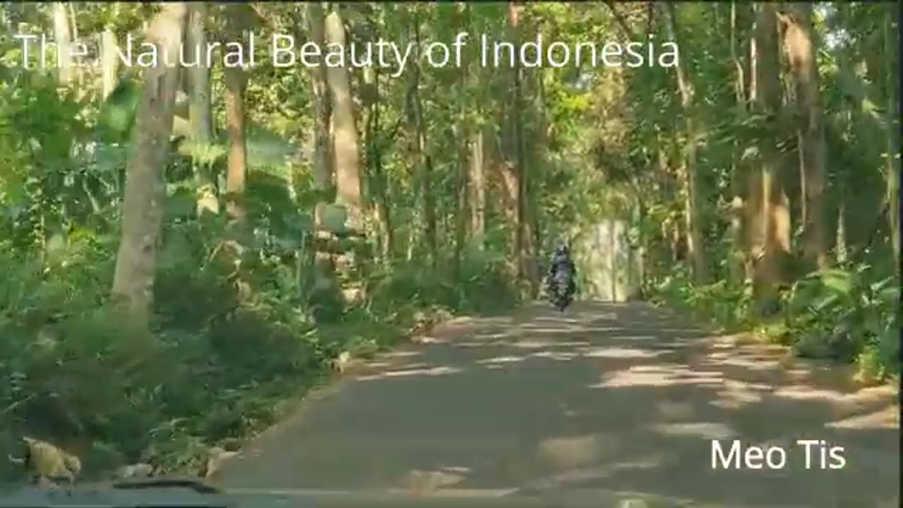 Smart Driving