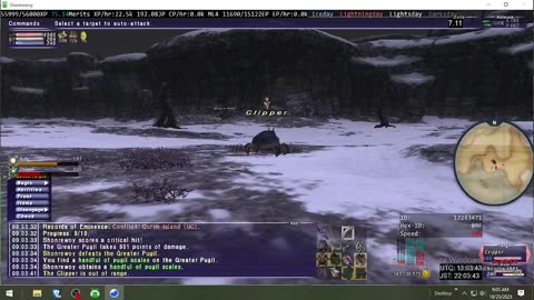 Playing Final Fantasy XI Online