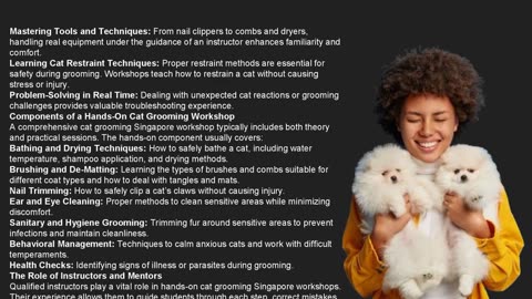 The Role of Hands-On Training in Cat Grooming Workshops — The Pets Workshop