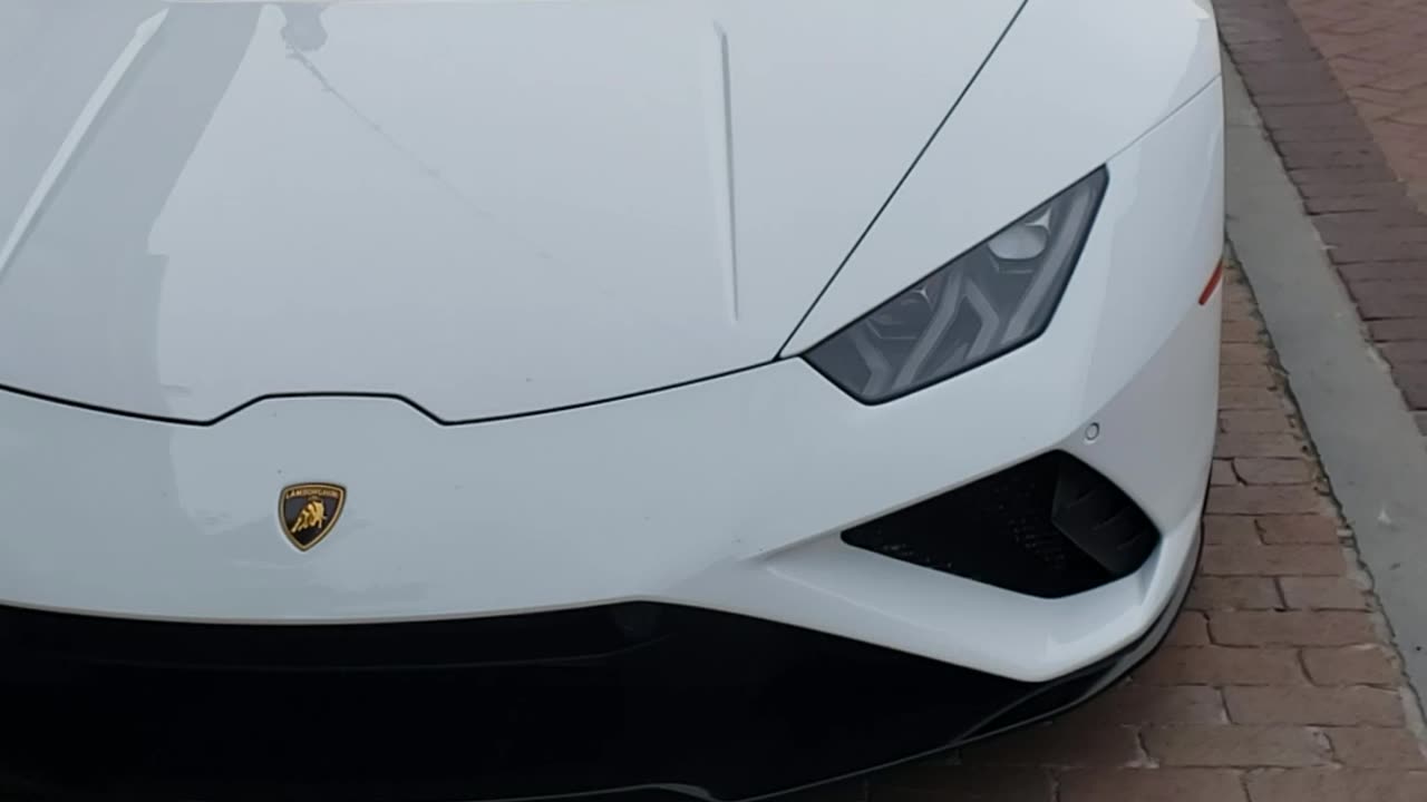 Beautiful Woman in a Lamborghini