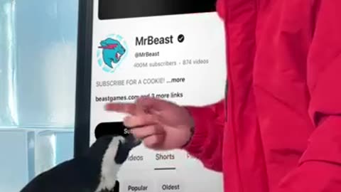Mr Beast 40 billion Subscriber