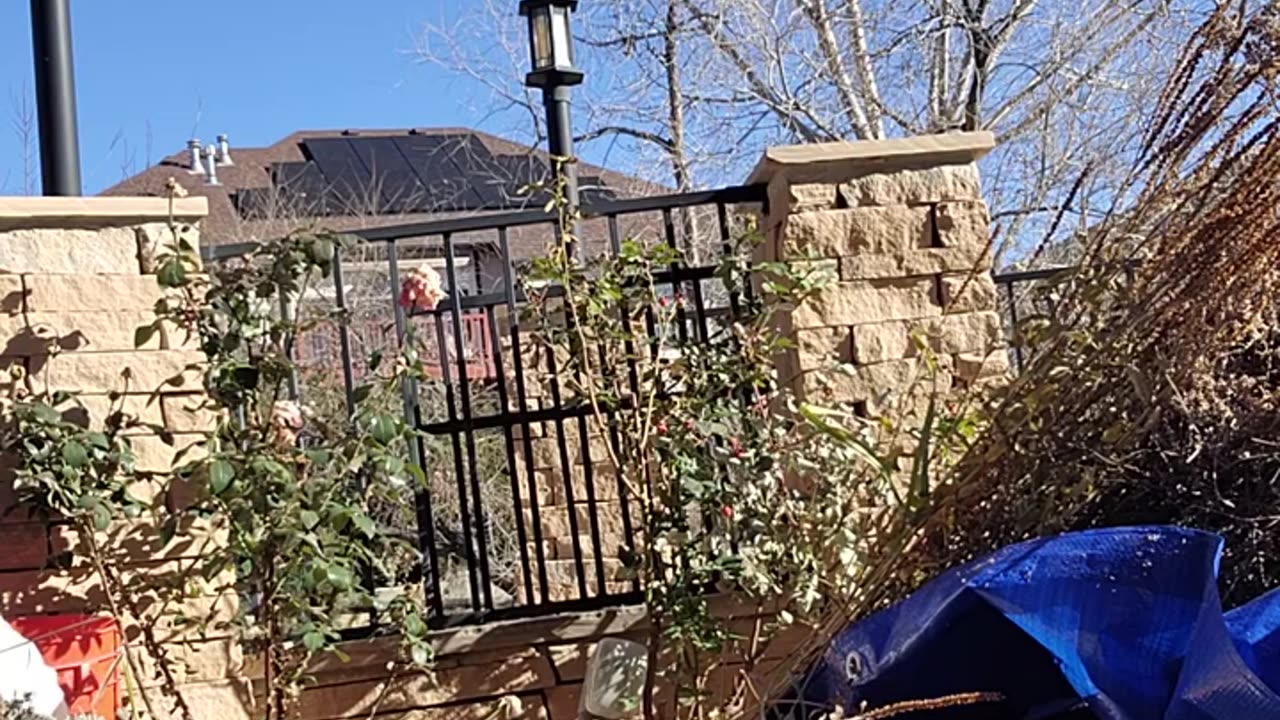 Has Russia Invaded the United States? 12-02-2024