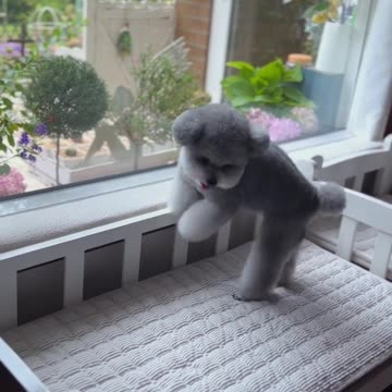 📹 Trending Chinese Viral Videos | Funny, Emotional & Shocking Moments