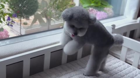 📹 Trending Chinese Viral Videos | Funny, Emotional & Shocking Moments