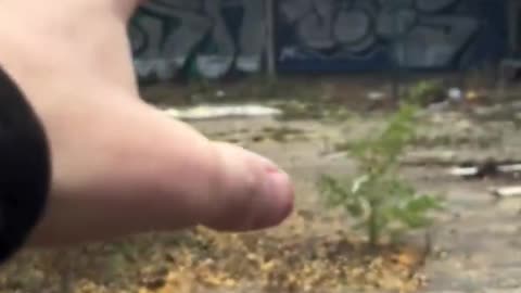 Abandoned Britain: Locals Forgotten While Migrants Get Millions