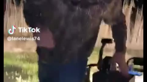 they have to be best friends