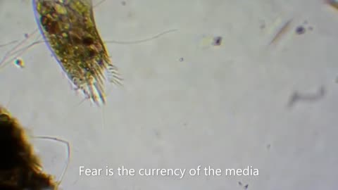 The Truth about Bacteria, Parasites and Viruses