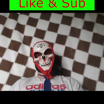 I lived like a pig for 24 hours