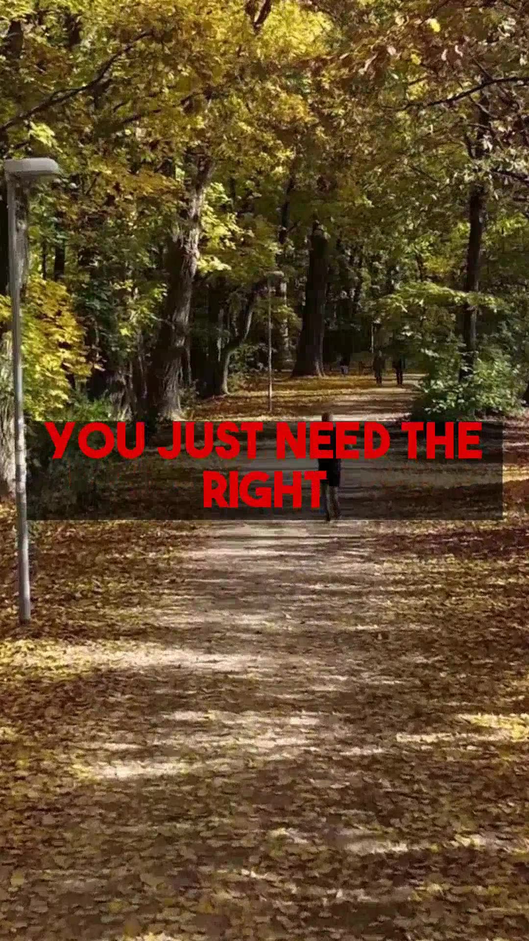 Student Travel Best Practices for Academic Projects