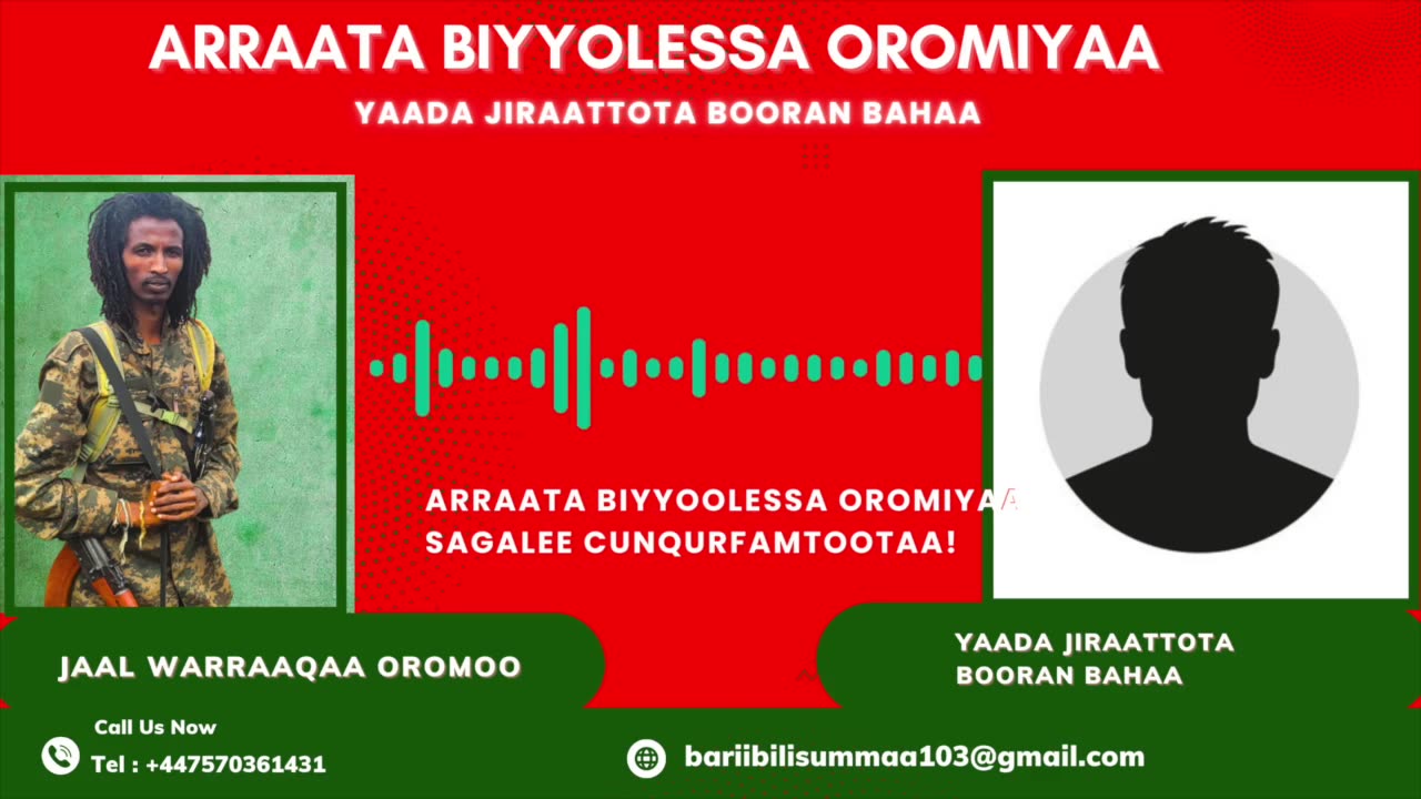 Qophii Addaa ONM-ABO Onkoloolessa 24-2025 itti dhiyaadhaa!