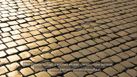 Bent u op zoek naar een professionele stratenmaker in Rotterdam?
