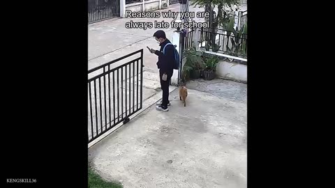 funiest animal
