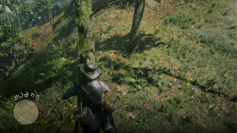 Red Dead Redemption 2 20250607170555547545675767774