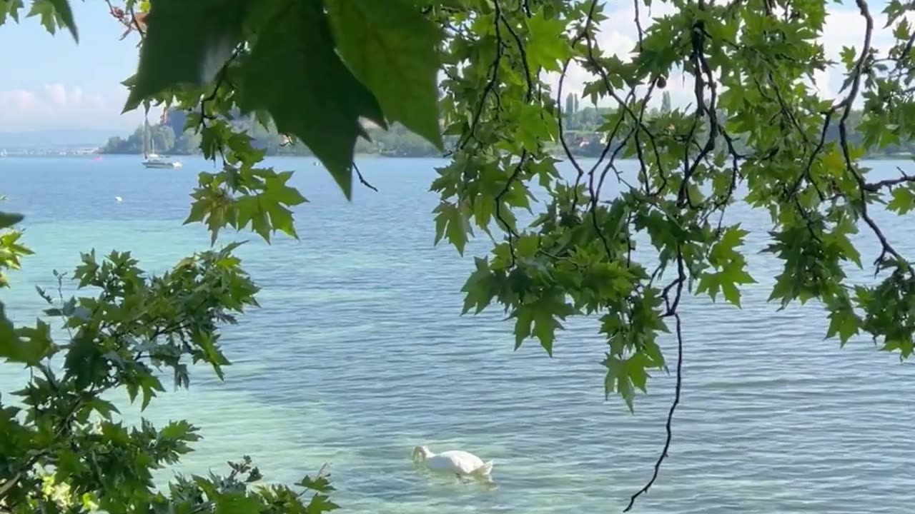 Your Fate is Only in Your Hands & No Else’s