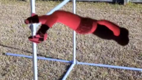 Face Plant
