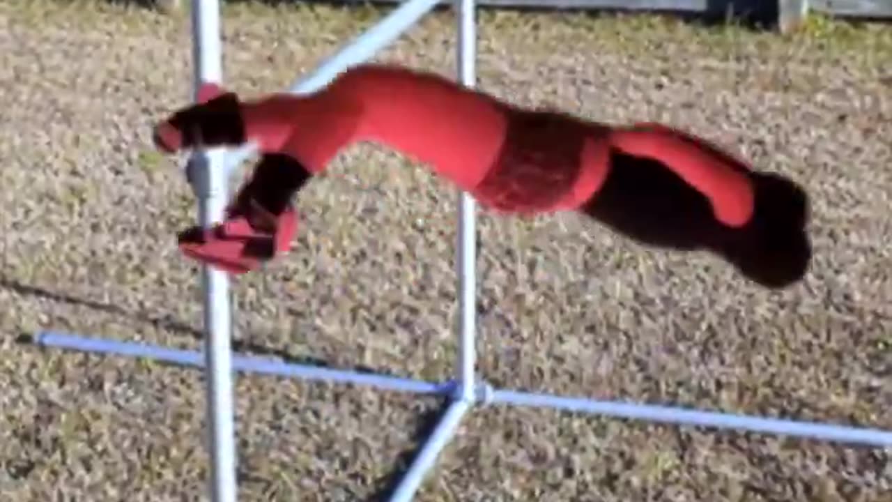 Face Plant