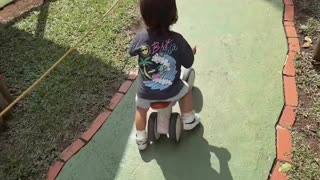 Conociendo el jardín de Gaby