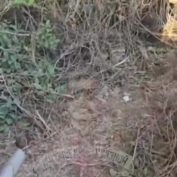 Andrivka seems liberated