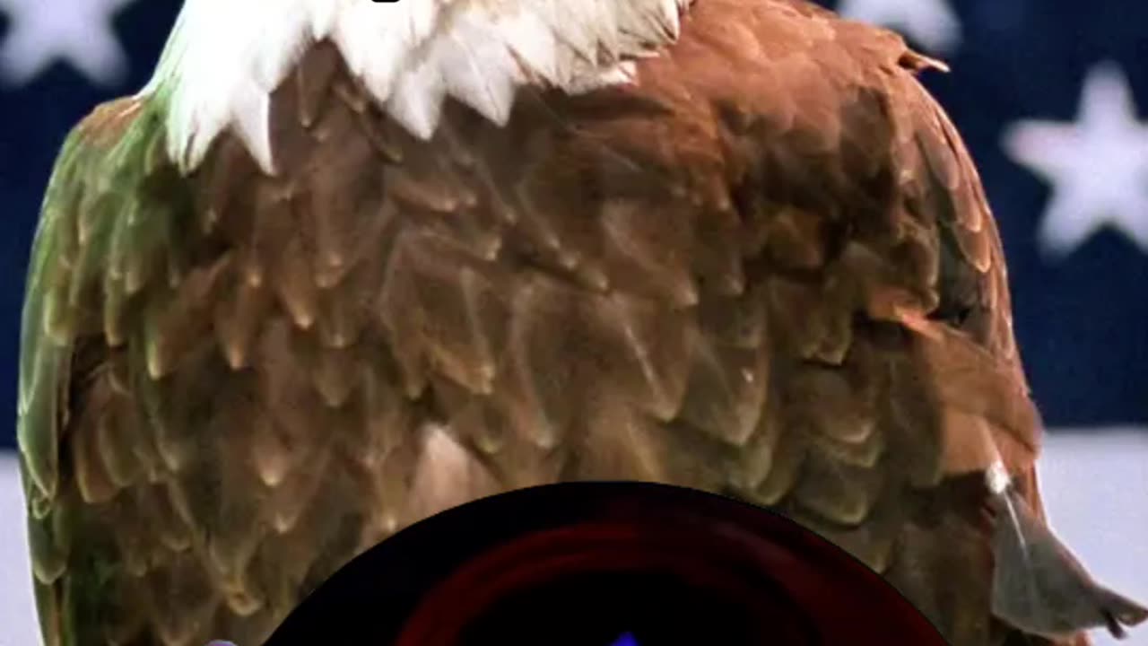 Short political video