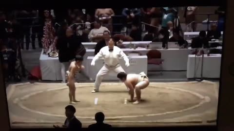 🤯✨ The Surprising Truth About Sumo Wrestling! Technique Over Size | FeedMyCuriosity
