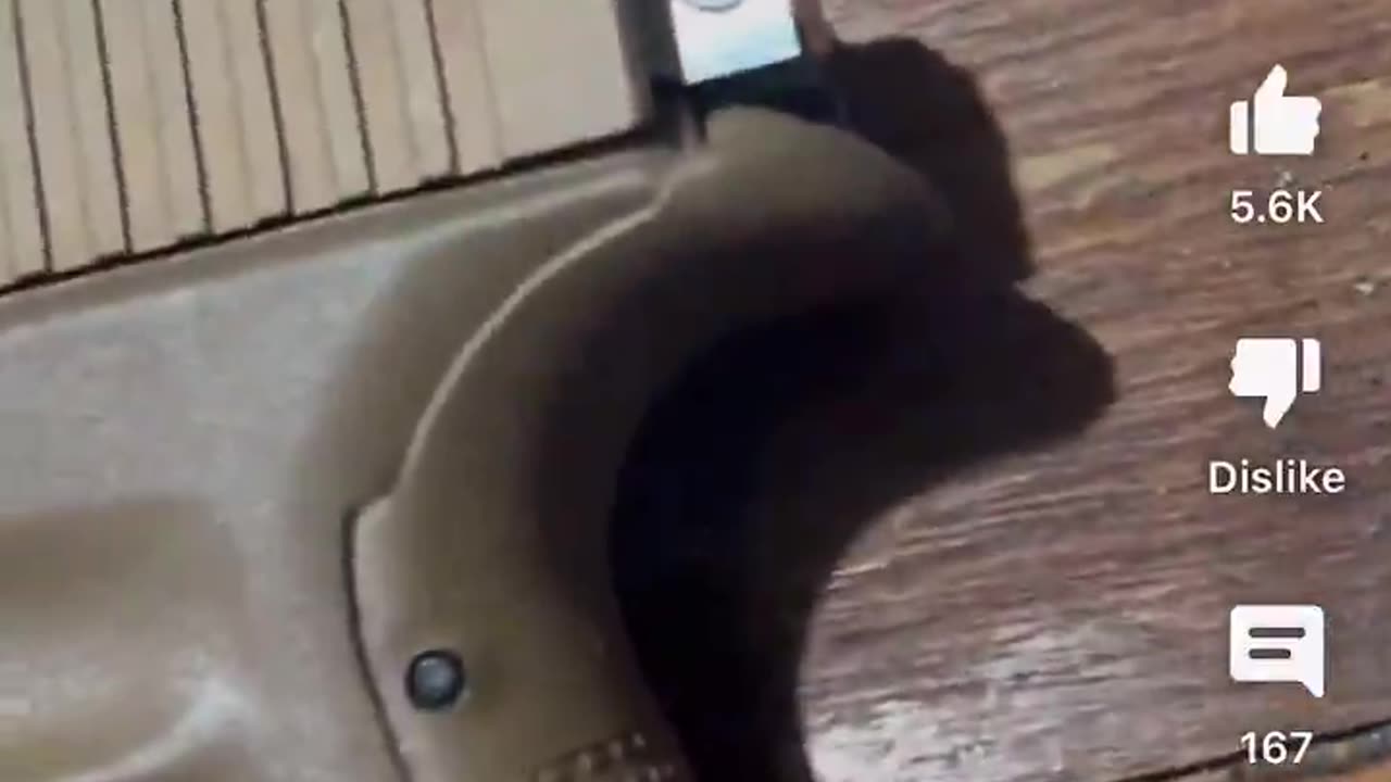 and here we have more blacks with guns