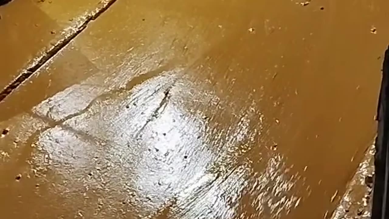 avalanchaensantodomingo