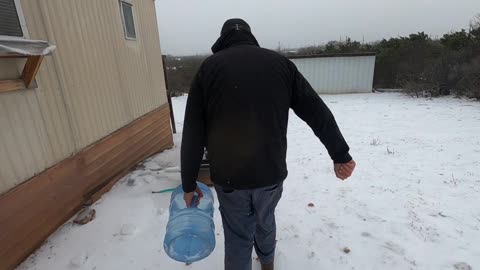 Texas Storm (Jan 2026) With Sheep on Homestead