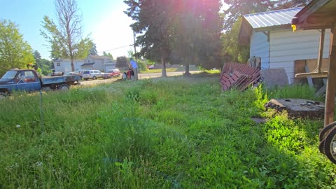 And the Scene Is Surreal – VNC207645LM #PlantifyLifeUS #HauntingDiscoveries