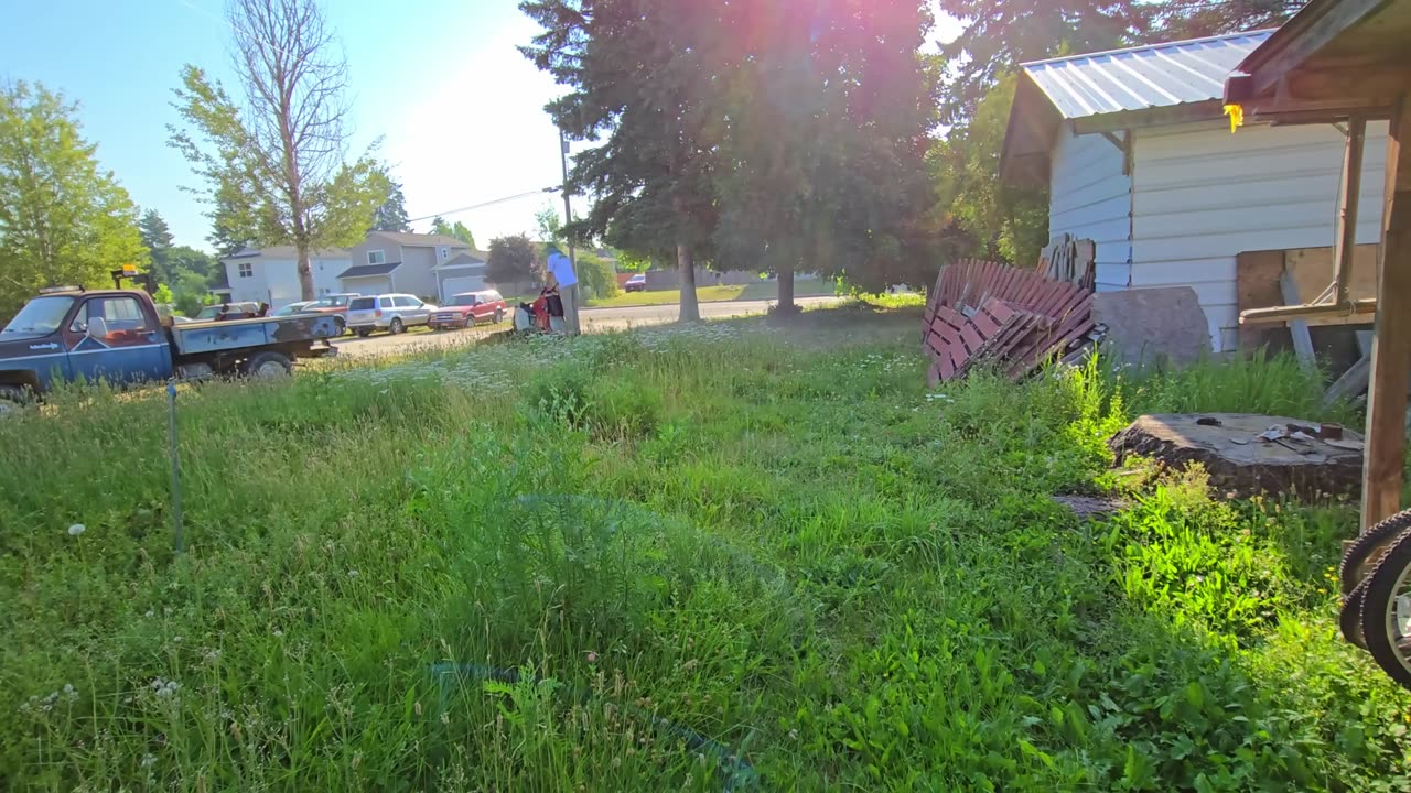 And the Scene Is Surreal – VNC207645LM #PlantifyLifeUS #HauntingDiscoveries