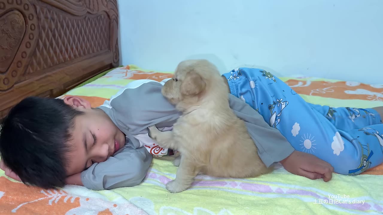 So funny and cute! I became good friends with an abandoned golden retriever puppy!