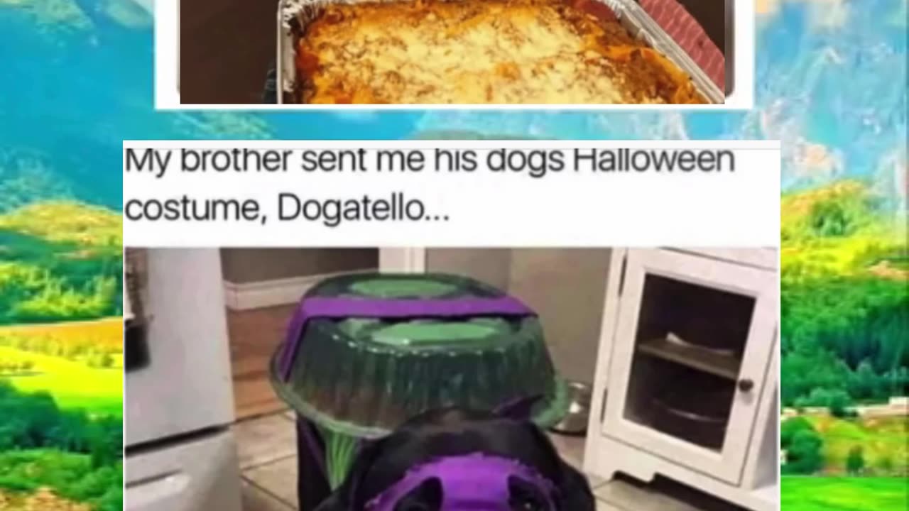 Memes of the day | funny memes | #funny