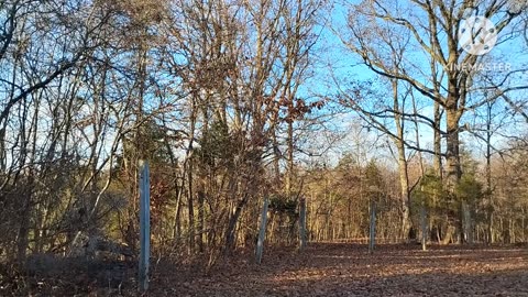 Final Sun 🌞 day at Young's Creek