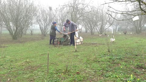 Making a Traditional Lezgi Bread Oven, Xərək Çörəyi Bişirdik, Outdoor Cooking